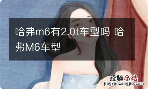 哈弗m6有2.0t车型吗 哈弗M6车型