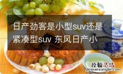 日产劲客是小型suv还是紧凑型suv 东风日产小型suv劲客怎么样