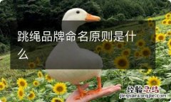 跳绳品牌命名原则是什么