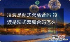 凌渡是湿式双离合吗 凌渡是湿式双离合吗怎么样