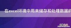 在excel环境中用来储存和处理数据的文件称为