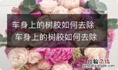 车身上的树胶如何去除 车身上的树胶如何去除掉