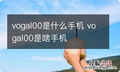 vogal00是什么手机 vogal00是啥手机