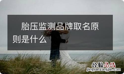 胎压监测品牌取名原则是什么