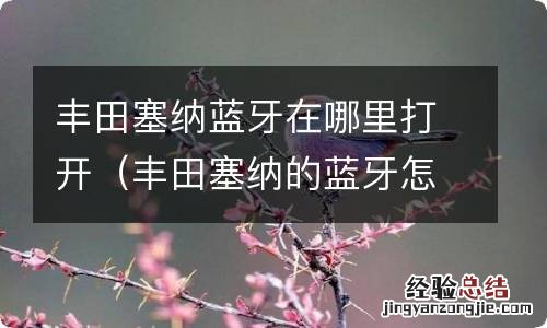 丰田塞纳的蓝牙怎么打开 丰田塞纳蓝牙在哪里打开