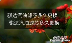 骐达汽油滤芯多久更换 骐达汽油滤芯多久更换好