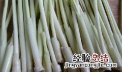 茭白没熟透 怎么看茭白熟了没