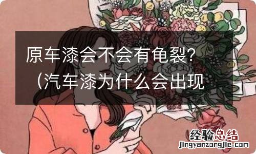 汽车漆为什么会出现龟裂 原车漆会不会有龟裂？