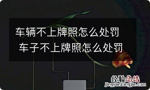 车辆不上牌照怎么处罚 车子不上牌照怎么处罚