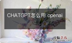 CHATGPT怎么用 openai