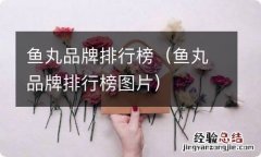 鱼丸品牌排行榜图片 鱼丸品牌排行榜