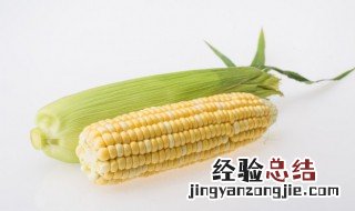 煮熟的玉米冷冻后需要解冻再煮吗 冷冻的玉米直接煮还是解冻煮