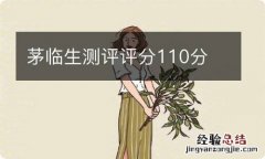 茅临生测评评分110分