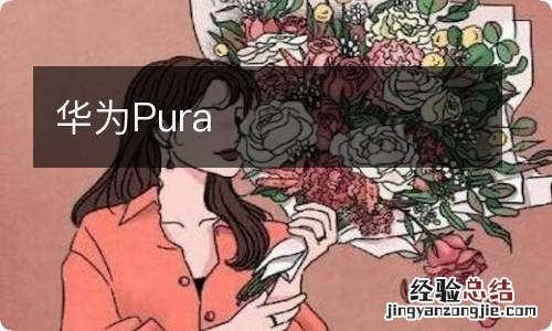 华为Pura