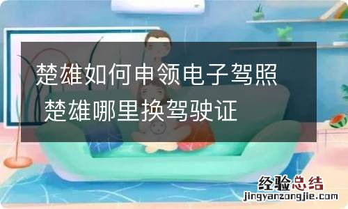 楚雄如何申领电子驾照 楚雄哪里换驾驶证