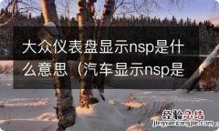 汽车显示nsp是什么意思 大众仪表盘显示nsp是什么意思