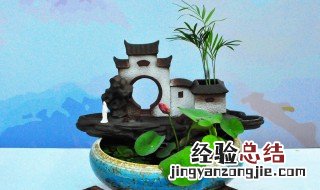 碗莲养在鱼缸没有泥土可以吗 鱼缸碗莲无土水培方法