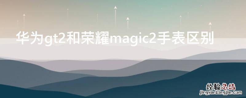 荣耀magicwatch 2和华为gt2区别 华为gt2和荣耀magic2手表区别