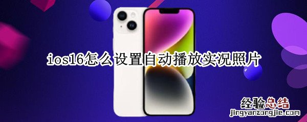 iphone怎么自动播放实况 ios16怎么设置自动播放实况照片