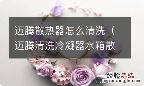 迈腾清洗冷凝器水箱散热器 迈腾散热器怎么清洗