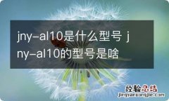 jny-al10是什么型号 jny-al10的型号是啥