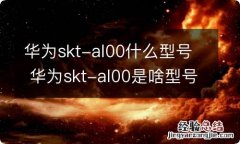 华为skt-al00什么型号 华为skt-al00是啥型号