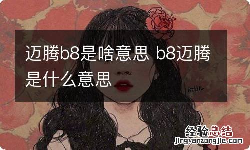 迈腾b8是啥意思 b8迈腾是什么意思