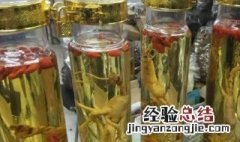 人参泡酒能泡多长时间就不能用了 人参酒泡多长时间不能喝