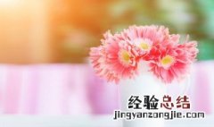 鲜花可以放冰箱么 鲜花直接放冰箱可以吗