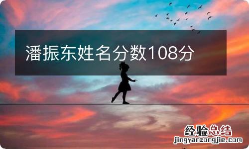 潘振东姓名分数108分