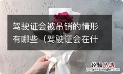 驾驶证会在什么情况下被吊销 驾驶证会被吊销的情形有哪些