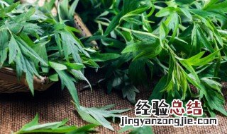 艾叶水洗脸后要清洗吗 艾叶水可以用来洗脸吗