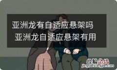 亚洲龙有自适应悬架吗 亚洲龙自适应悬架有用吗