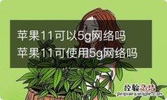 苹果11可以5g网络吗苹果11可使用5g网络吗