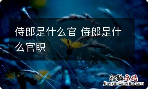 侍郎是什么官 侍郎是什么官职