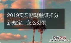 2019实习期驾驶证扣分新规定，怎么处罚