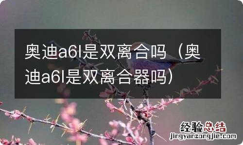 奥迪a6l是双离合器吗 奥迪a6l是双离合吗