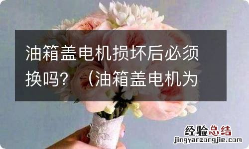 油箱盖电机为什么会损坏 油箱盖电机损坏后必须换吗？