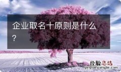 企业取名十原则是什么？