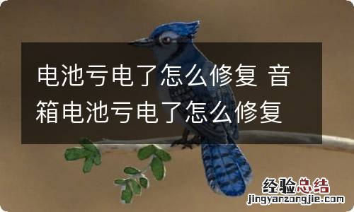 电池亏电了怎么修复 音箱电池亏电了怎么修复