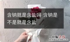 含钠就是含盐吗 含钠是不是就是含盐