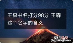 王森书名打分98分 王森这个名字的含义