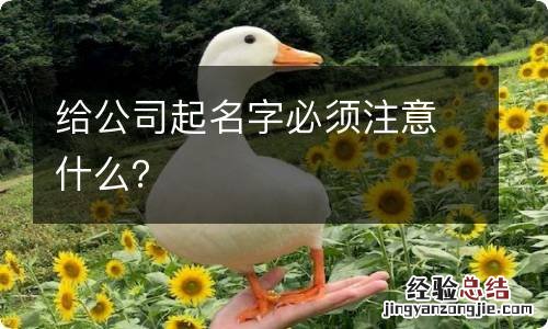 给公司起名字必须注意什么?