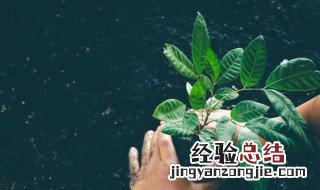 哪些肥料不能混合施用 不能混用的肥料