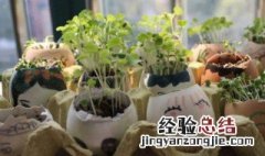 哪些植物不能放鸡蛋壳 鸡蛋壳可以直接放花盆里吗