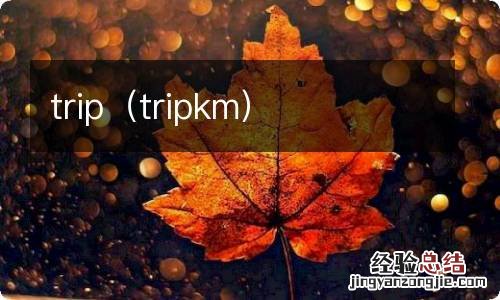 tripkm trip