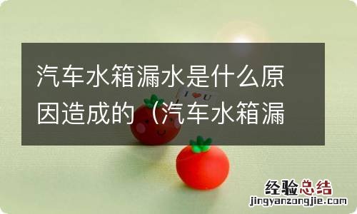 汽车水箱漏水怎么回事 汽车水箱漏水是什么原因造成的