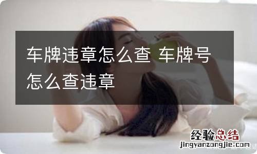 车牌违章怎么查 车牌号怎么查违章