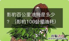 影豹100公里油耗 影豹百公里油耗是多少？