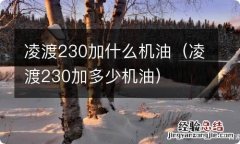 凌渡230加多少机油 凌渡230加什么机油